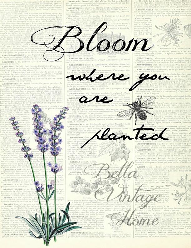 Botanical  Bloom Lavender Print, Pillow, Note Cards, Tea Towel, Digital Download - BELLAVINTAGEHOME