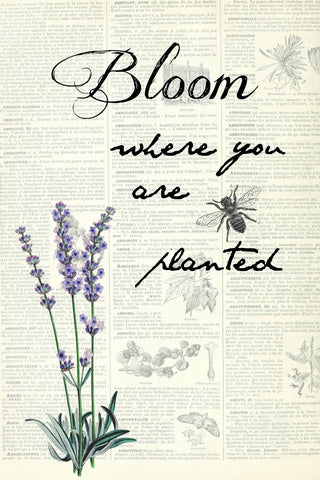 Floral Tea Towel Bloom Where You Are Planted Lavender - BELLAVINTAGEHOME