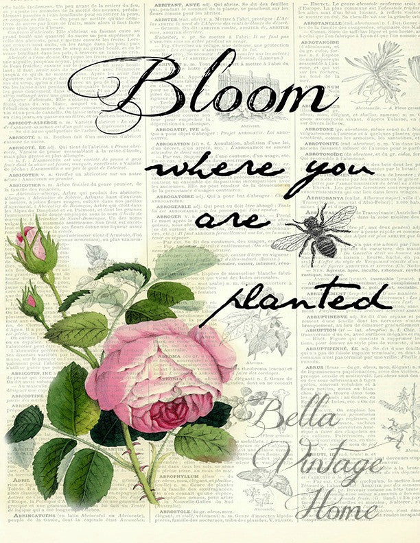Botanical Bloom Rose Print, Pillow, Note Cards, Tea Towel - BELLAVINTAGEHOME