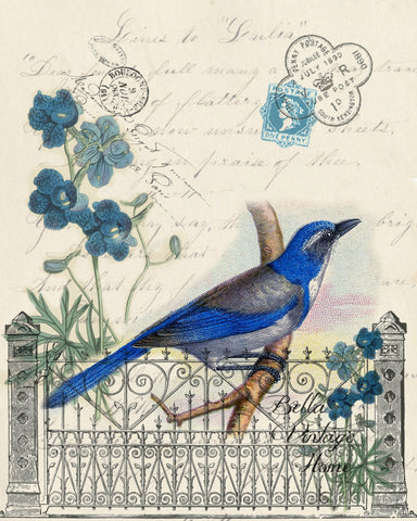 Botanical Blue Bird Print, Pillow,Note Cards, Tea Towel, Digital Download - BELLAVINTAGEHOME