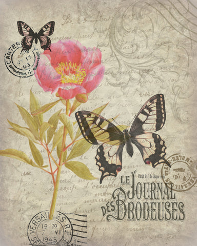 Botanical  Pink Peony  Flower Print, Pillow, Note Cards, Tea Towel, Digital Download - BELLAVINTAGEHOME
