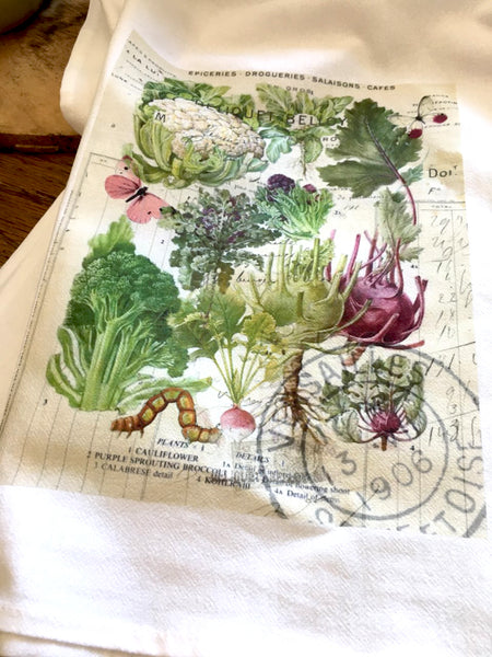 Botanical  Pink Cabbage Print,  Pillow, Note Cards, Tea Towel, Digital Download - BELLAVINTAGEHOME
