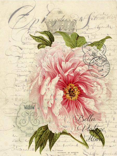 Botanical Rose Print, Pillow, Note Cards, Tea Towel, Digital Download - BELLAVINTAGEHOME