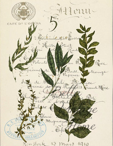 Botanical Herbs Print, Pillow, Note Cards, Tea Towel, Digital Download - BELLAVINTAGEHOME