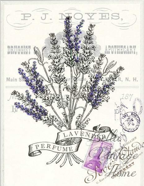 Botanical  Lavender Perfume Print,  Pillow, Note Cards, Tea Towel, Digital Download - BELLAVINTAGEHOME
