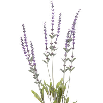 French  Lavender Stems 13" Set of 3 - BELLAVINTAGEHOME