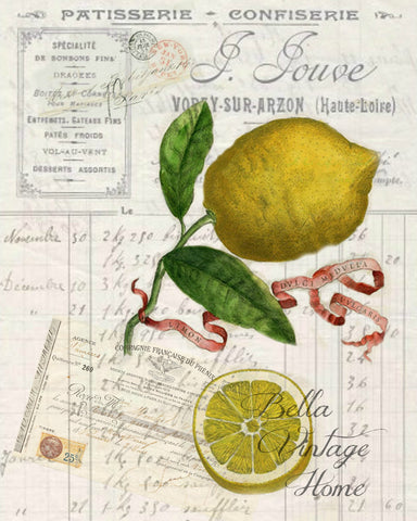 Botanical Lemon Print, Pillow, Note Cards, Tea Towel, Digital Download - BELLAVINTAGEHOME