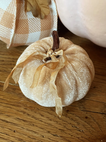 Mini  Blush Velvet  Pumpkin - BELLAVINTAGEHOME