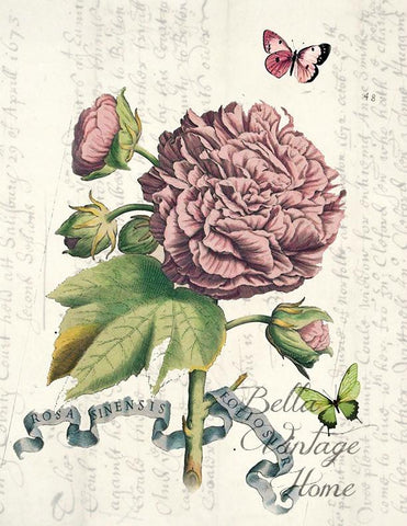 Botanical  Pink Butterfly Print, Pillow, Note Cards, Tea Towel, Digital Download - BELLAVINTAGEHOME