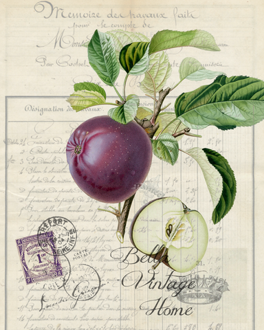 Botanical  Purple Apple Print, Pillow, Note Cards, Tea Towel, Digital Download - BELLAVINTAGEHOME