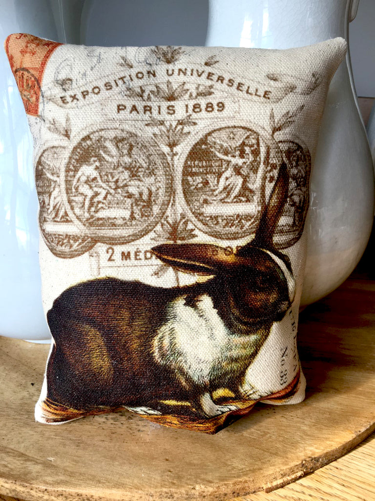 Rabbit with Carrot Accent Pillow - BELLAVINTAGEHOME