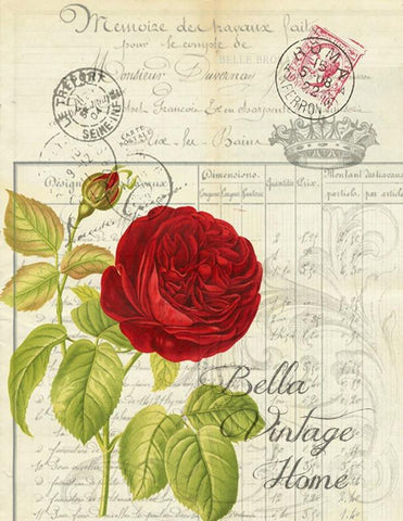 Botanical  Red Rose Print, Pillow, Note Cards, Tea Towel, Digital Download - BELLAVINTAGEHOME