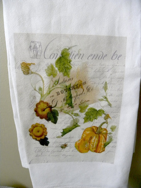 Harvest  Squash Botanical Print,  Pillow, Note Cards, Tea Towel, Digital Download - BELLAVINTAGEHOME