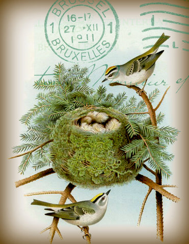 Bird Tea Towel Two Birds with Pine - BELLAVINTAGEHOME