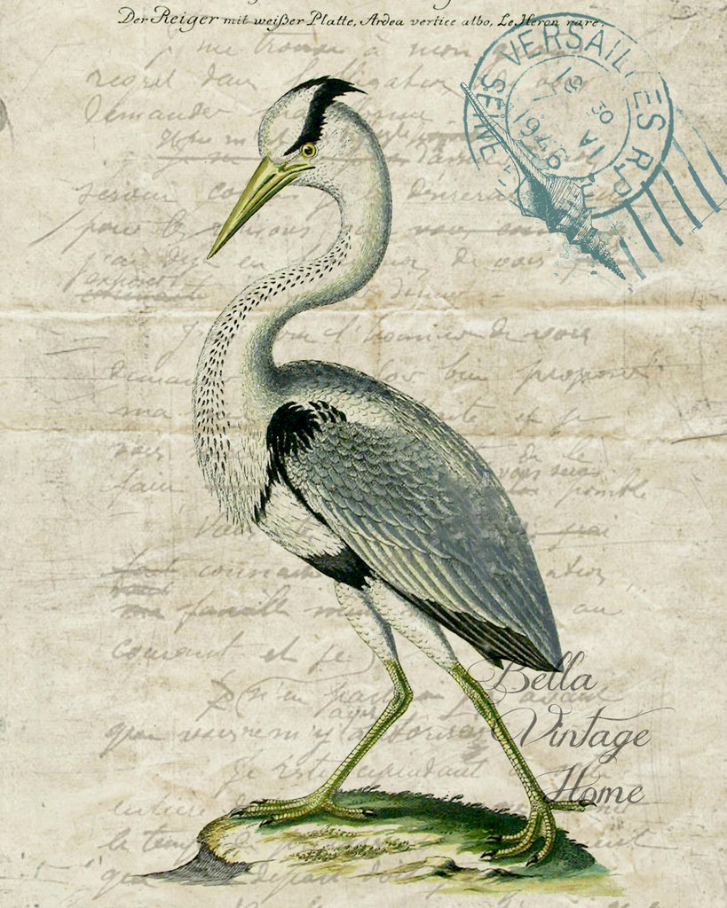 Botanical Stork I Print, Pillow,Note Cards, Tea Towel, Digital Download - BELLAVINTAGEHOME