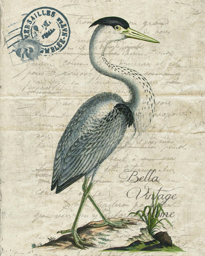 Botanical Stork II Print, Pillow ,Note Cards, Tea Towel, Digital Download - BELLAVINTAGEHOME